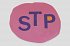 STP (Purple c, 527c, 198c) Image