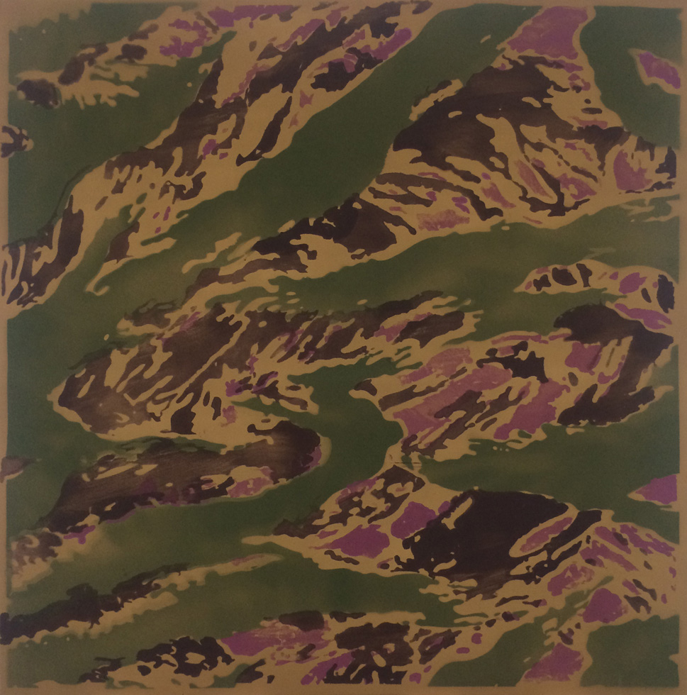 Untitled (Camo Forest Frog)