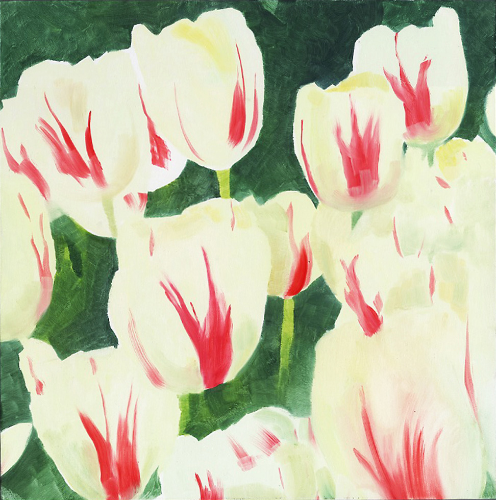 Untitled (Tulip 01)